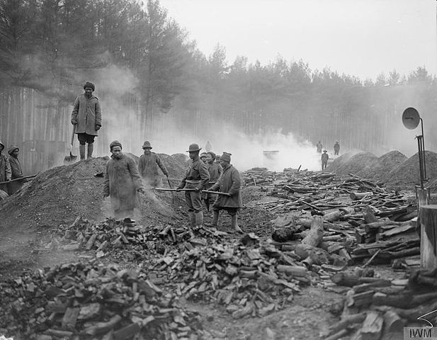 Indian Labour Corps on the Western Front. Indians troops burning charcoal in the Forest of Brotonne, 22 January 1918. Cpyright IWM (Q 8493)